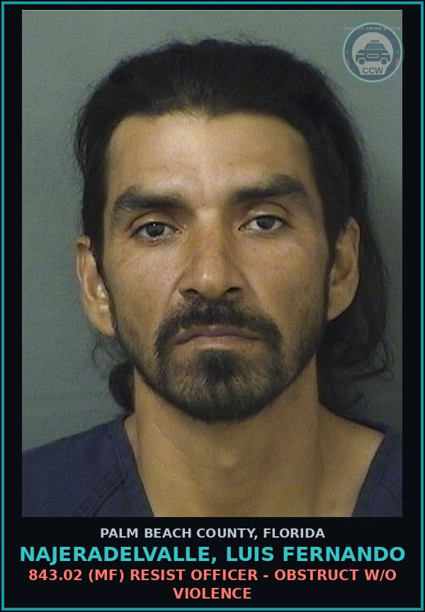 Booking mugshot of NAJERADELVALLE, LUIS FERNANDO in Palm Beach County