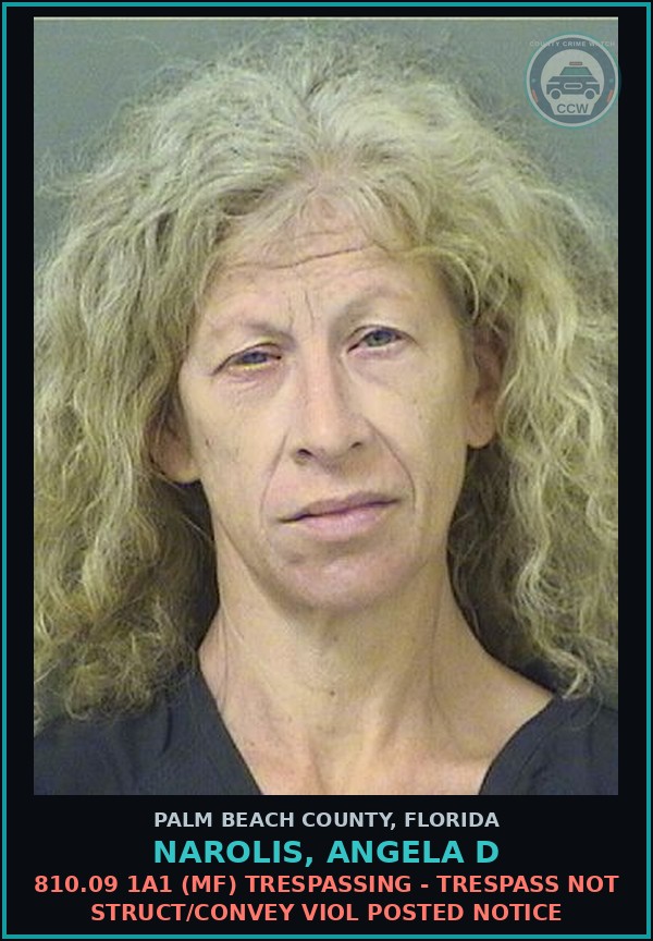 Booking mugshot of NAROLIS, ANGELA D in Palm Beach County