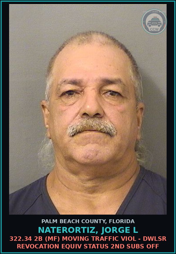 Booking mugshot of NATERORTIZ, JORGE L in Palm Beach County