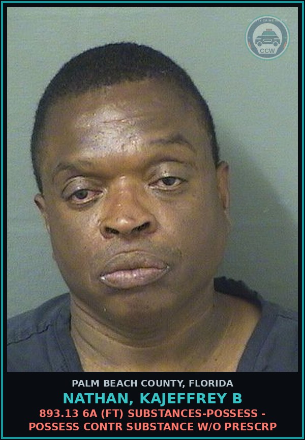Booking mugshot of NATHAN, KAJEFFREY B in Palm Beach County