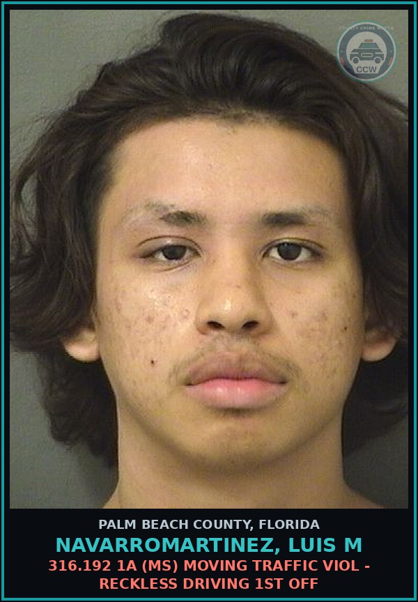 Booking mugshot of NAVARROMARTINEZ, LUIS M in Palm Beach County