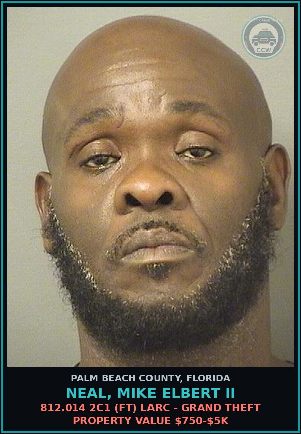 Booking mugshot of NEAL, MIKE ELBERT II in Palm Beach County