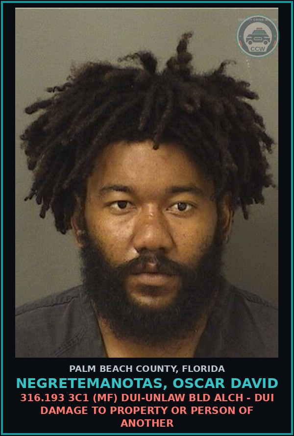 Booking mugshot of NEGRETEMANOTAS, OSCAR DAVID in Palm Beach County