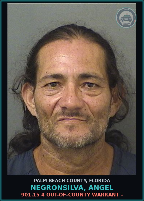 Booking mugshot of NEGRONSILVA, ANGEL in Palm Beach County