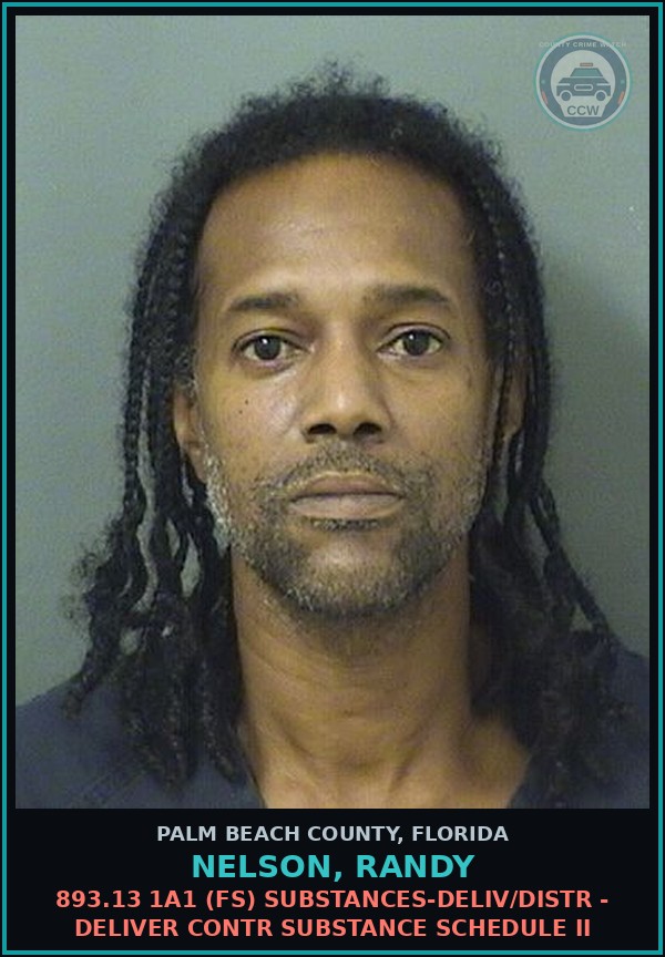 Booking mugshot of NELSON, RANDY in Palm Beach County