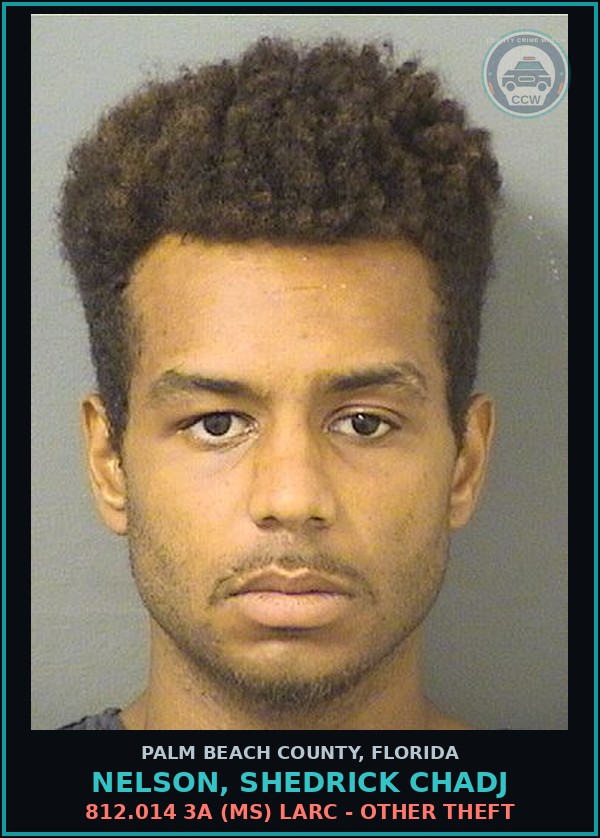 Booking mugshot of NELSON, SHEDRICK CHADJ in Palm Beach County