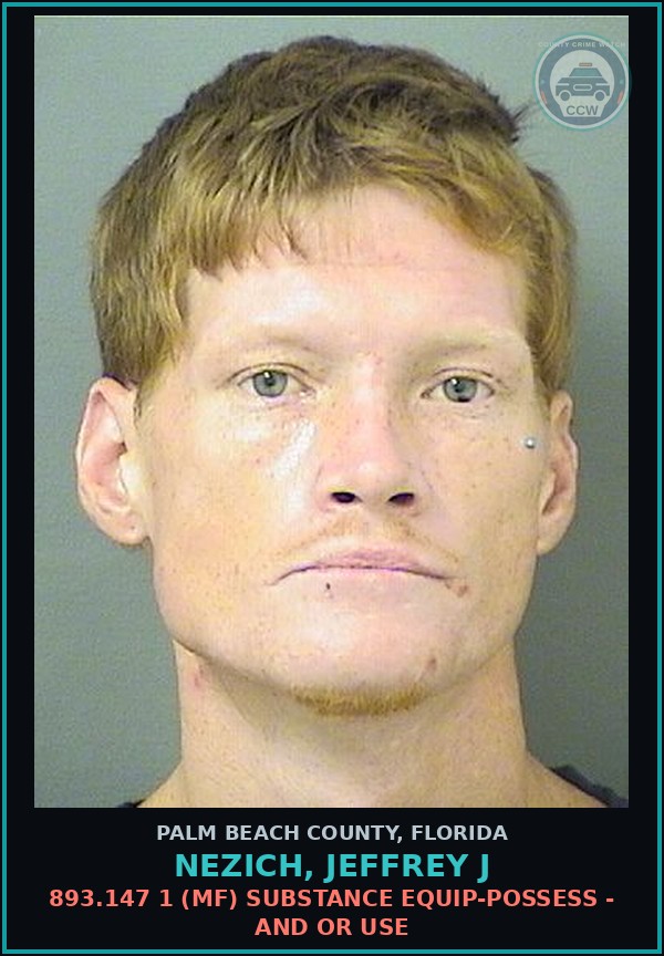 Booking mugshot of NEZICH, JEFFREY J in Palm Beach County