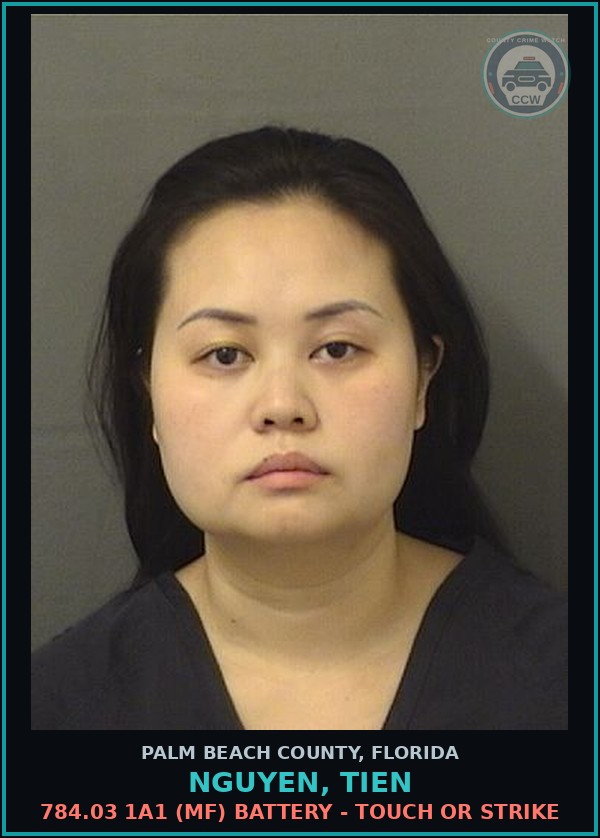Booking mugshot of NGUYEN, TIEN in Palm Beach County