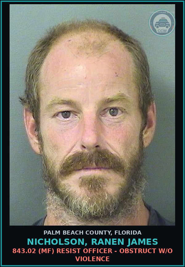 Booking mugshot of NICHOLSON, RANEN JAMES in Palm Beach County
