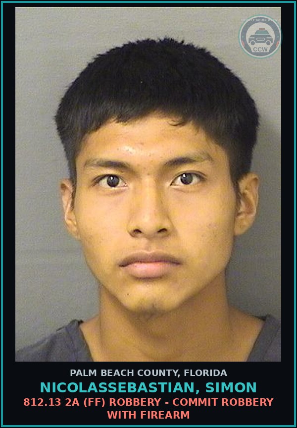 Booking mugshot of NICOLASSEBASTIAN, SIMON in Palm Beach County
