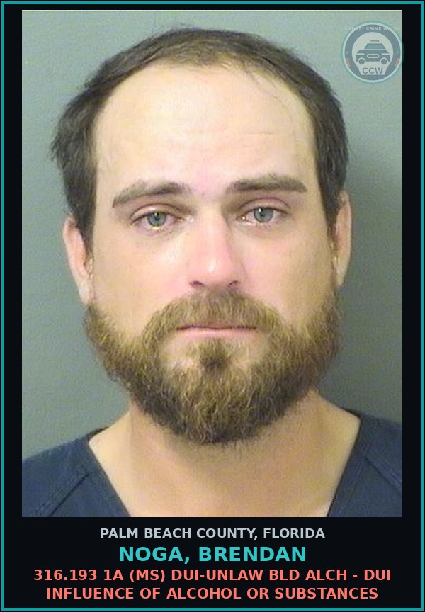 Booking mugshot of NOGA, BRENDAN in Palm Beach County