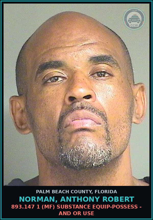 Booking mugshot of NORMAN, ANTHONY ROBERT in Palm Beach County
