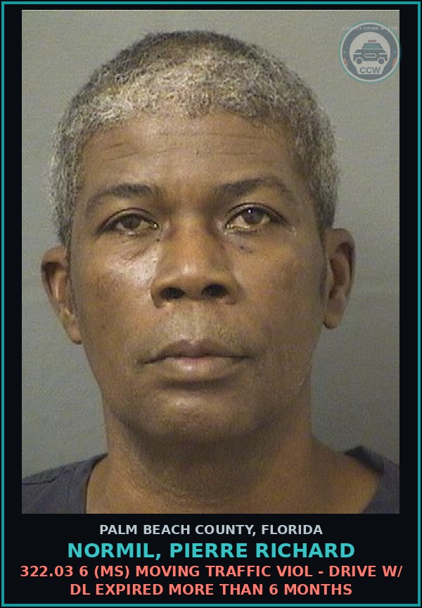 Booking mugshot of NORMIL, PIERRE RICHARD in Palm Beach County
