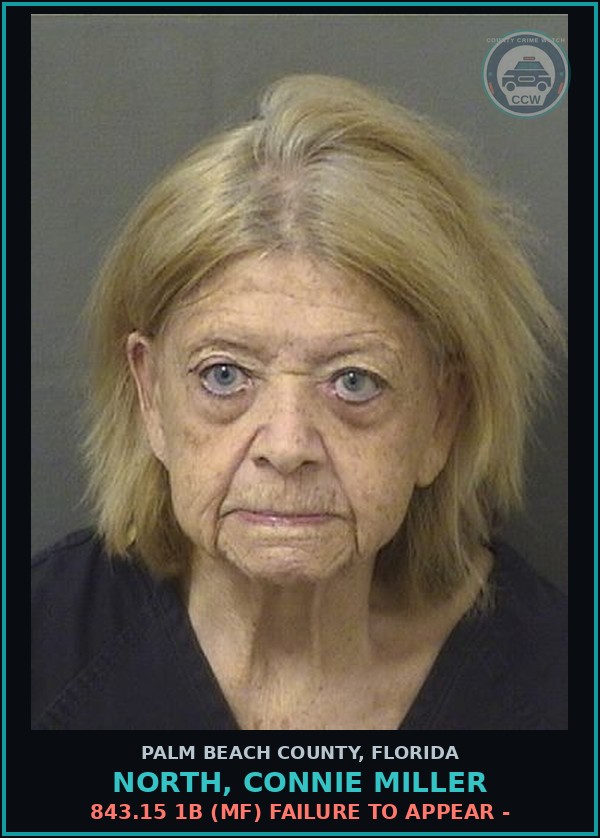 Booking mugshot of NORTH, CONNIE MILLER in Palm Beach County