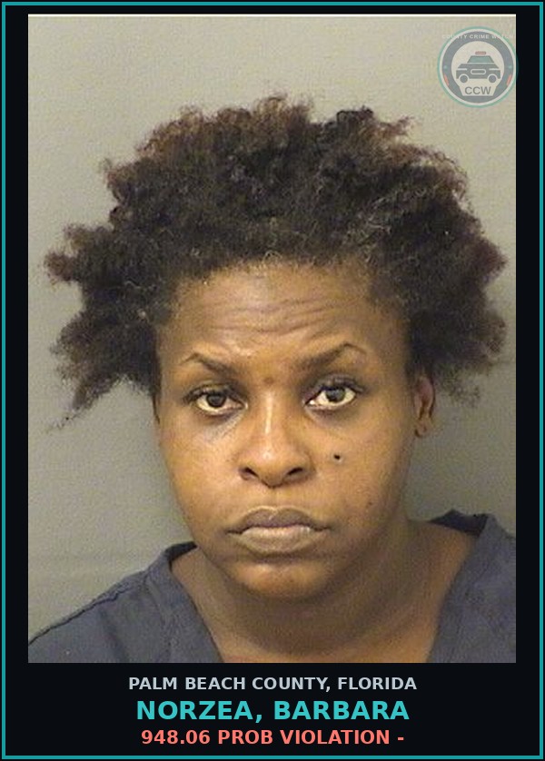 Booking mugshot of NORZEA, BARBARA in Palm Beach County