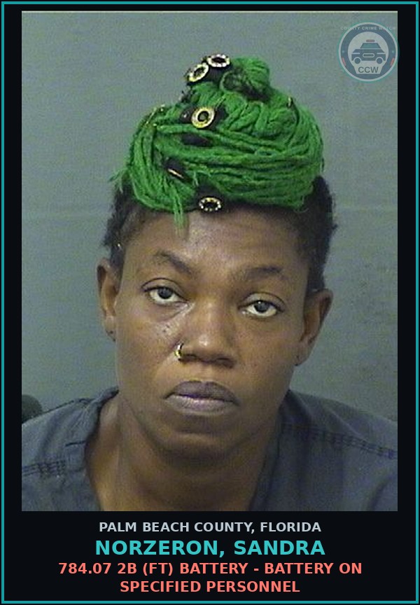 Booking mugshot of NORZERON, SANDRA in Palm Beach County