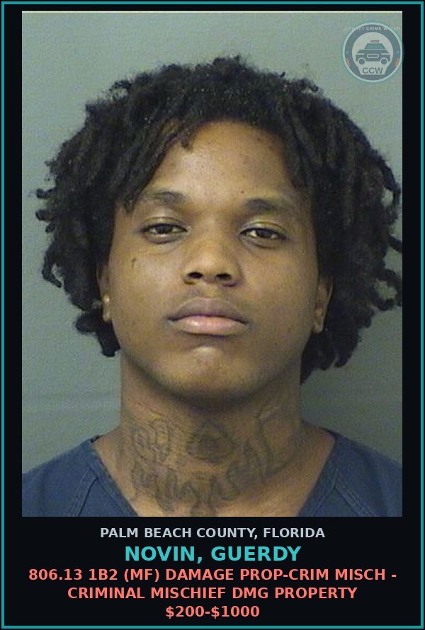 Booking mugshot of NOVIN, GUERDY in Palm Beach County