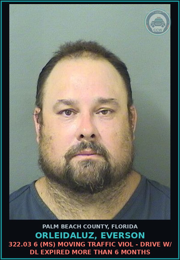 Booking mugshot of ORLEIDALUZ, EVERSON in Palm Beach County