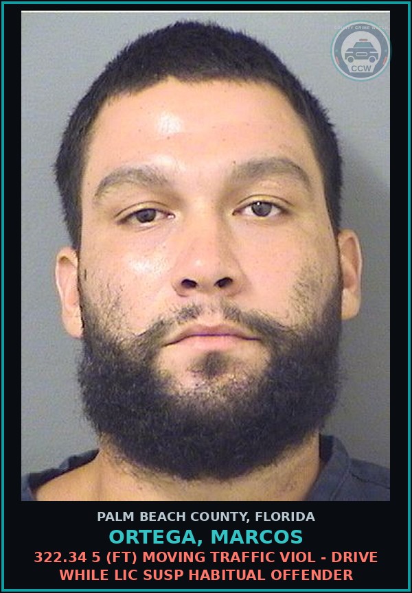 Booking mugshot of ORTEGA, MARCOS in Palm Beach County