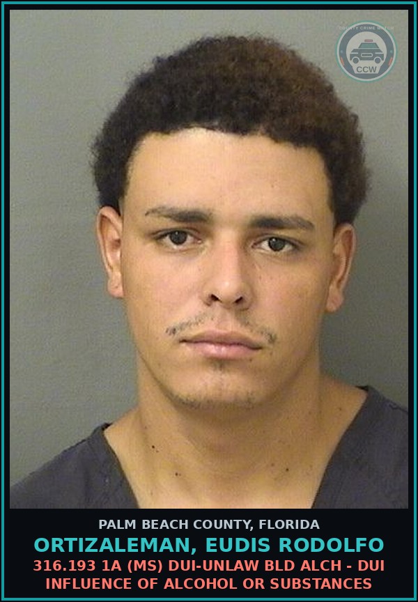 Booking mugshot of ORTIZALEMAN, EUDIS RODOLFO in Palm Beach County