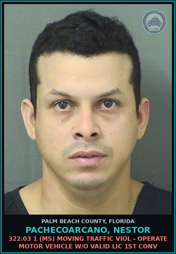 Booking mugshot of PACHECOARCANO, NESTOR in Palm Beach County