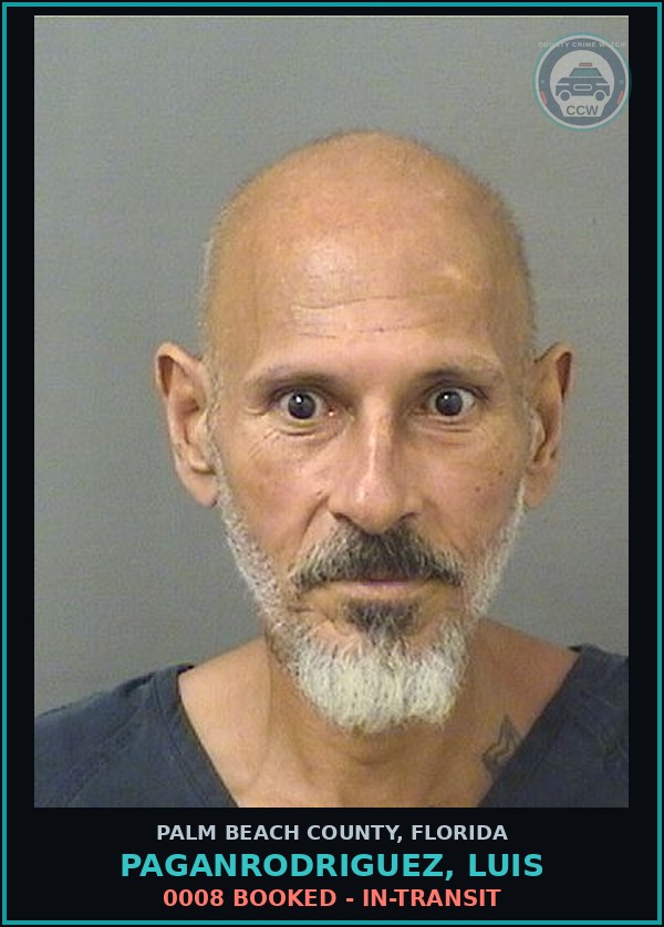 Booking mugshot of PAGANRODRIGUEZ, LUIS in Palm Beach County