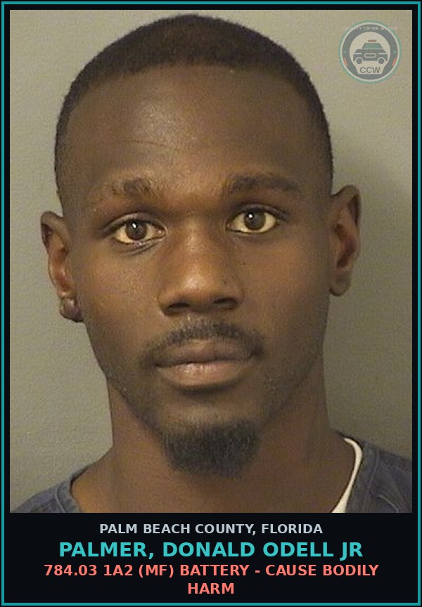Booking mugshot of PALMER, DONALD ODELL Jr in Palm Beach County