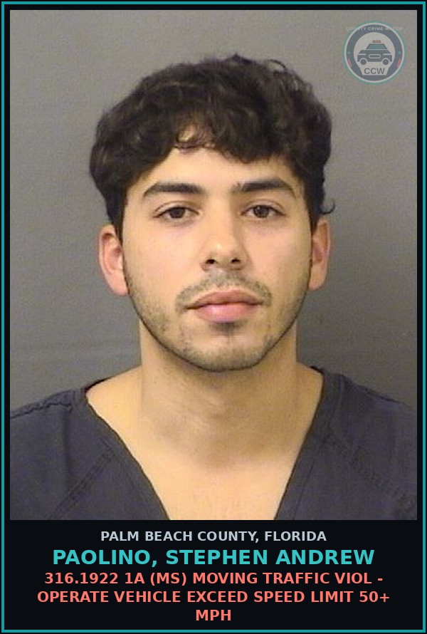 Booking mugshot of PAOLINO, STEPHEN ANDREW in Palm Beach County