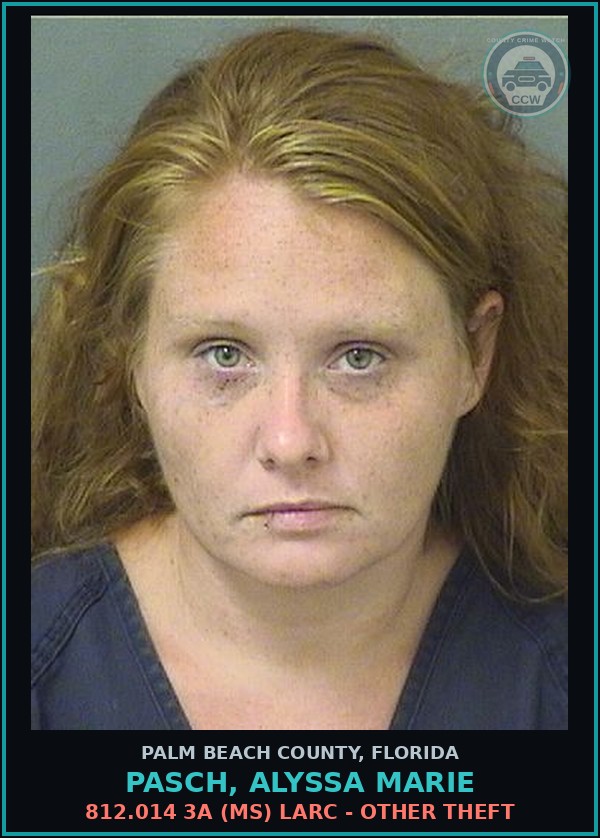 Booking mugshot of PASCH, ALYSSA MARIE in Palm Beach County
