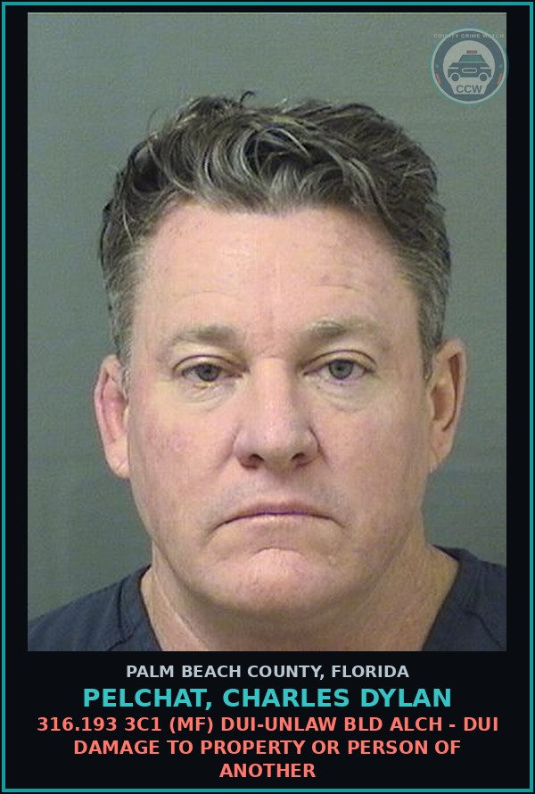 Booking mugshot of PELCHAT, CHARLES DYLAN in Palm Beach County