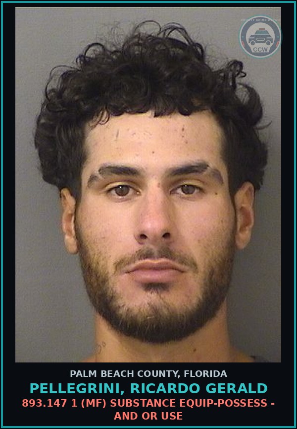 Booking mugshot of PELLEGRINI, RICARDO GERALD in Palm Beach County