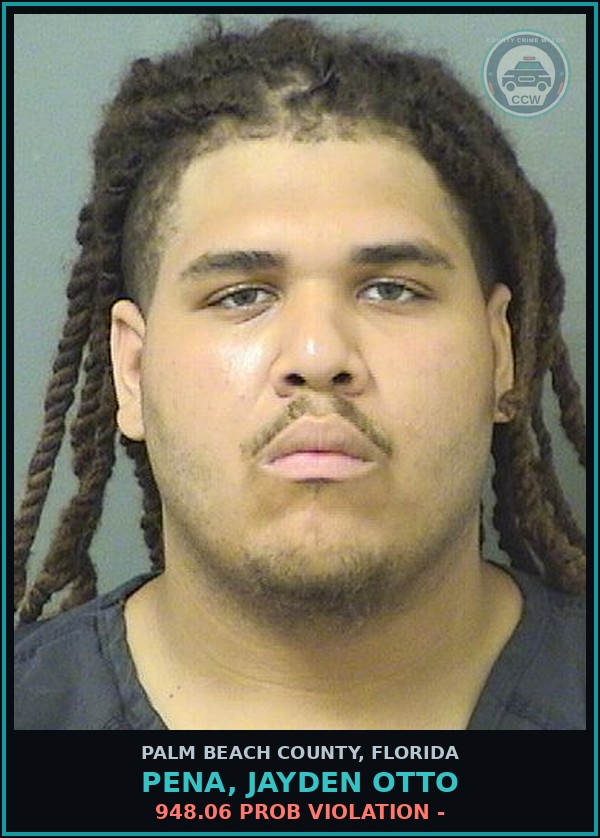 Booking mugshot of PENA, JAYDEN OTTO in Palm Beach County
