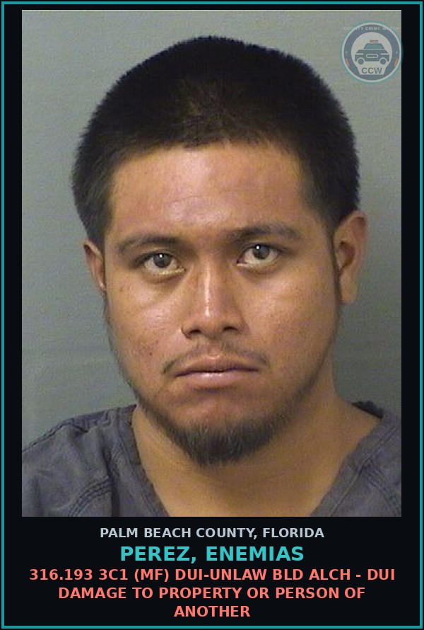 Booking mugshot of PEREZ, ENEMIAS in Palm Beach County