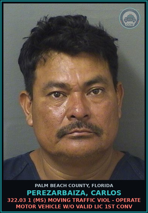 Booking mugshot of PEREZARBAIZA, CARLOS in Palm Beach County