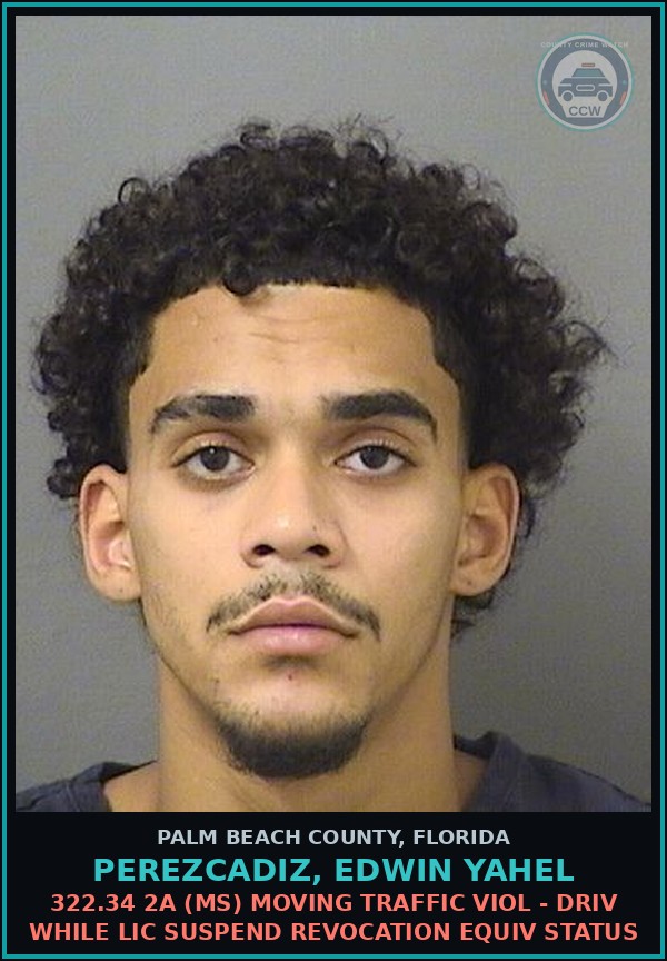 Booking mugshot of PEREZCADIZ, EDWIN YAHEL in Palm Beach County