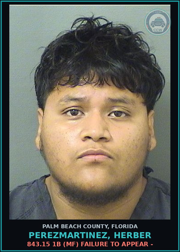 Booking mugshot of PEREZMARTINEZ, HERBER in Palm Beach County
