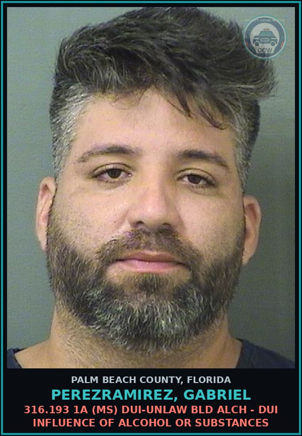 Booking mugshot of PEREZRAMIREZ, GABRIEL in Palm Beach County