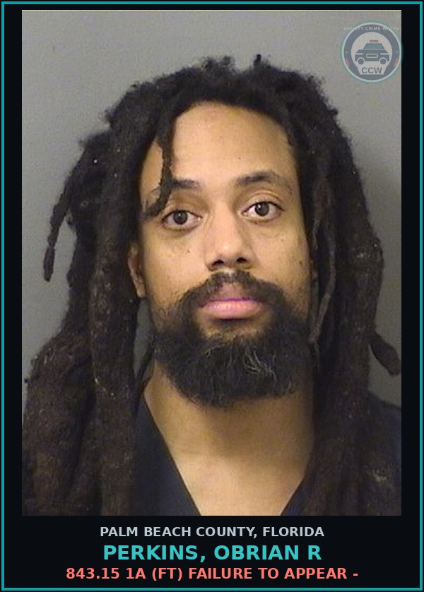 Booking mugshot of PERKINS, OBRIAN R in Palm Beach County
