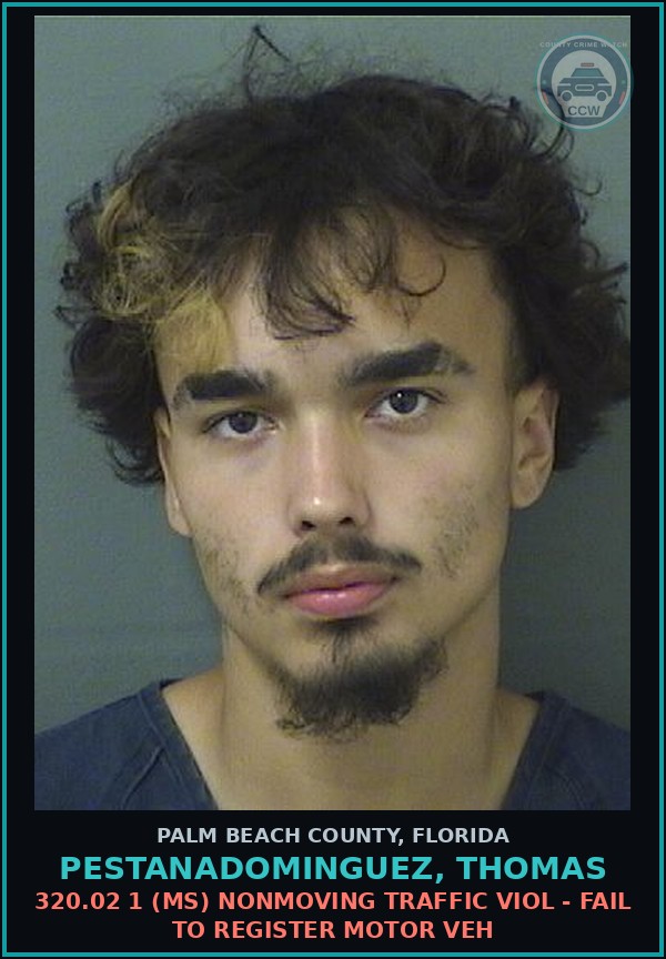 Booking mugshot of PESTANADOMINGUEZ, THOMAS in Palm Beach County