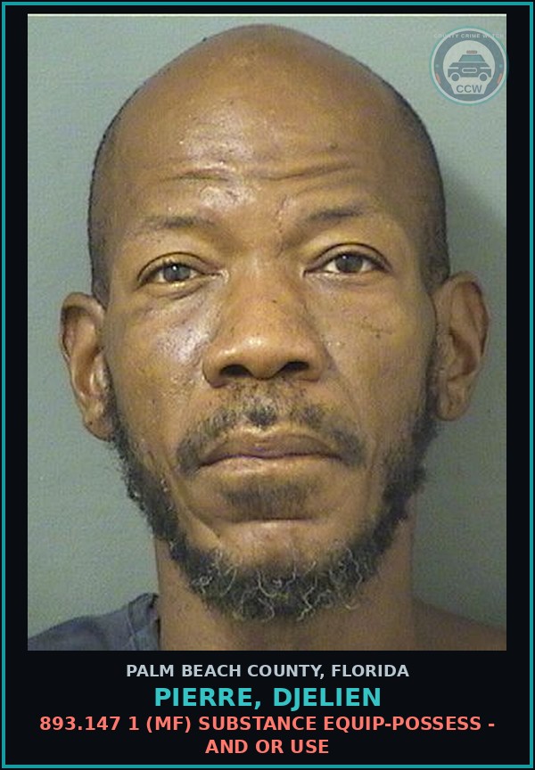 Booking mugshot of PIERRE, DJELIEN in Palm Beach County