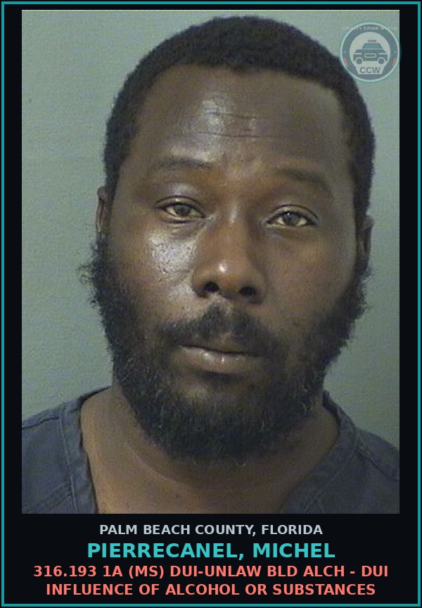 Booking mugshot of PIERRECANEL, MICHEL in Palm Beach County