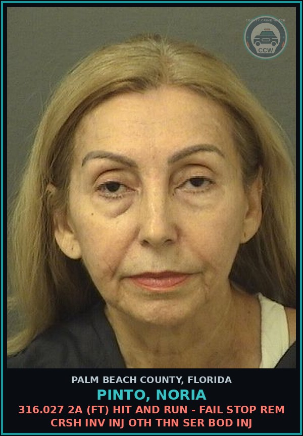 Booking mugshot of PINTO, NORIA in Palm Beach County