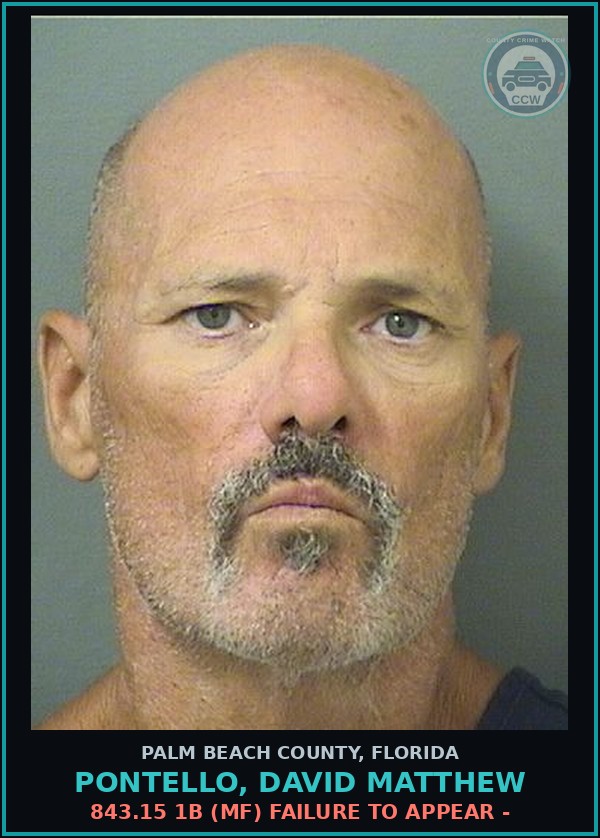 Booking mugshot of PONTELLO, DAVID MATTHEW in Palm Beach County