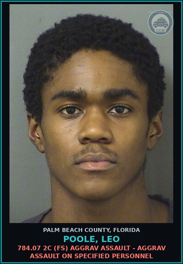 Booking mugshot of POOLE, LEO in Palm Beach County