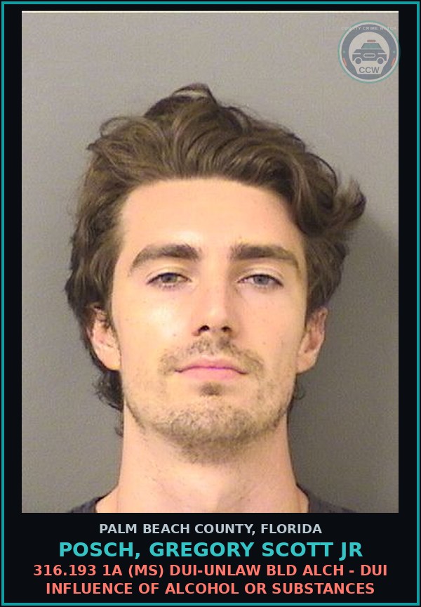 Booking mugshot of POSCH, GREGORY SCOTT Jr in Palm Beach County