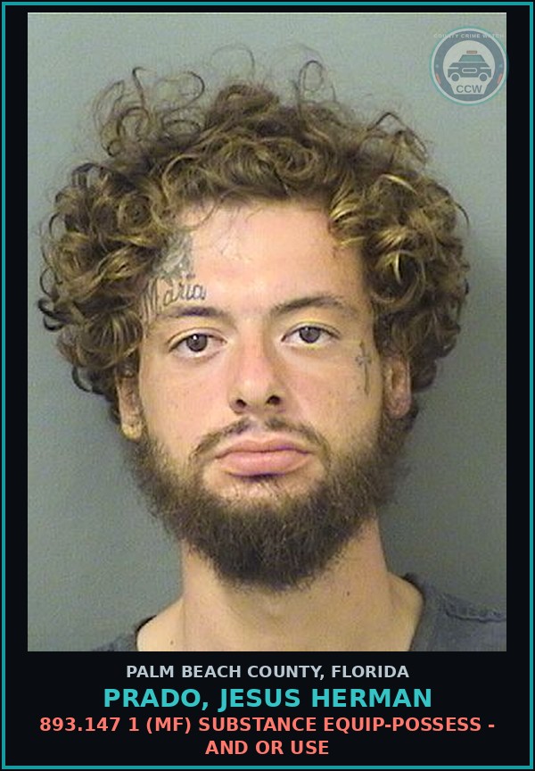 Booking mugshot of PRADO, JESUS HERMAN in Palm Beach County