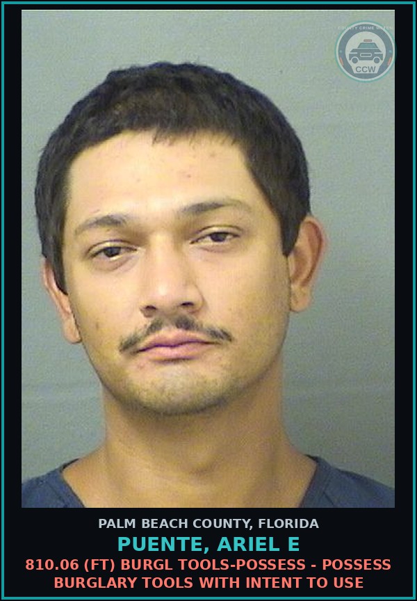 Booking mugshot of PUENTE, ARIEL E in Palm Beach County