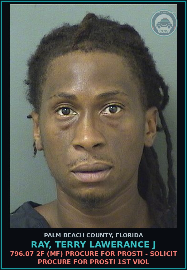Booking mugshot of RAY, TERRY LAWERANCE J in Palm Beach County