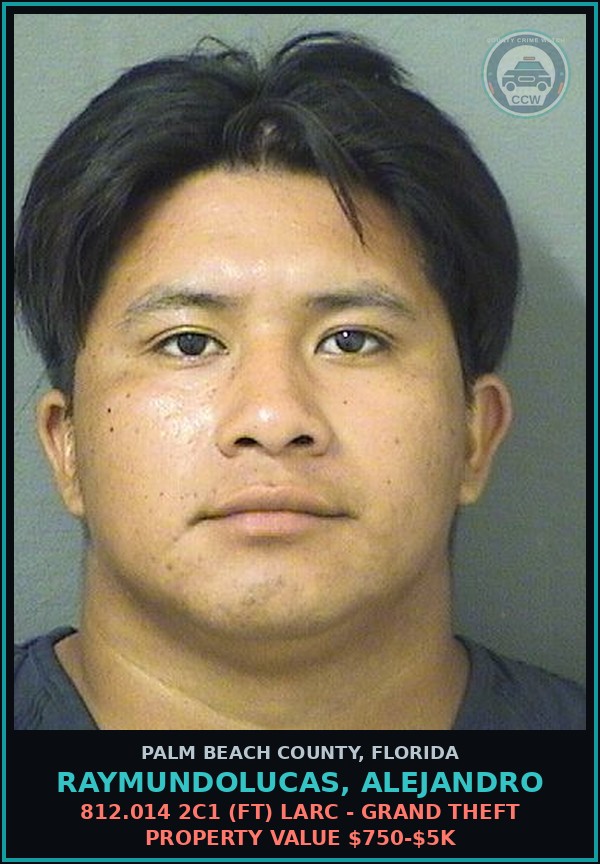 Booking mugshot of RAYMUNDOLUCAS, ALEJANDRO in Palm Beach County