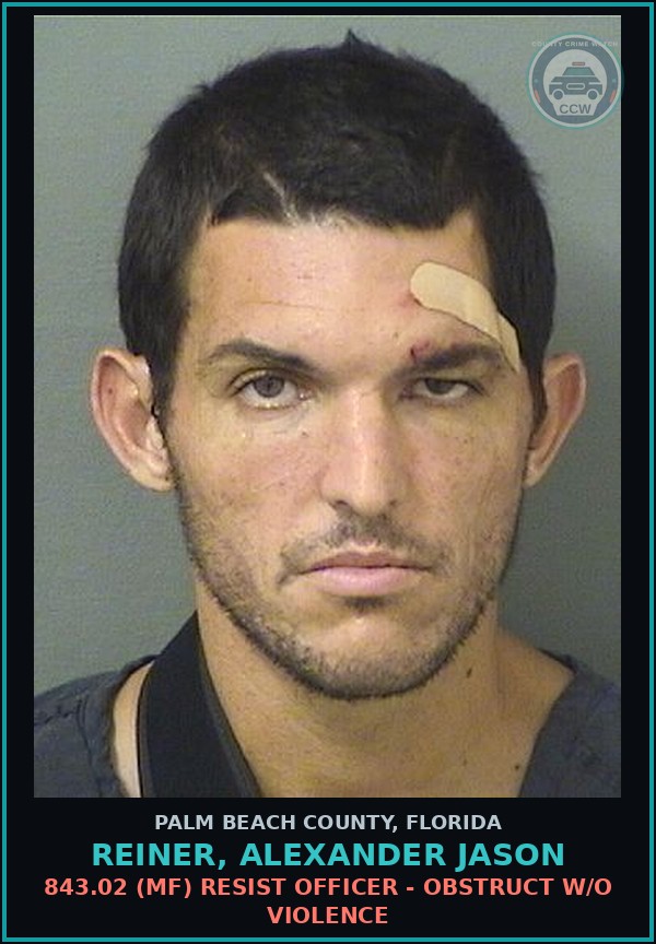 Booking mugshot of REINER, ALEXANDER JASON in Palm Beach County